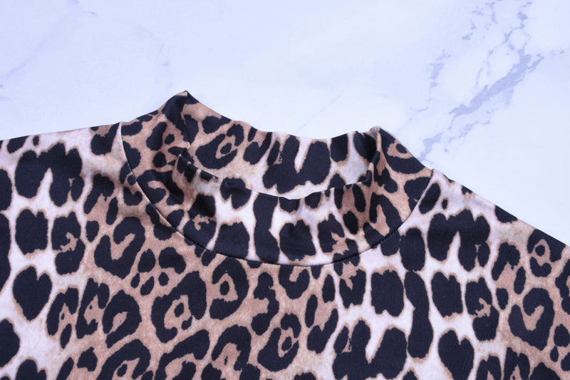 Catirini- Long Sleeve High Neck Leopard Dress