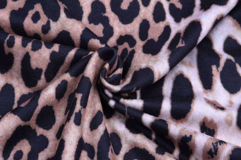 Catirini- Long Sleeve High Neck Leopard Dress