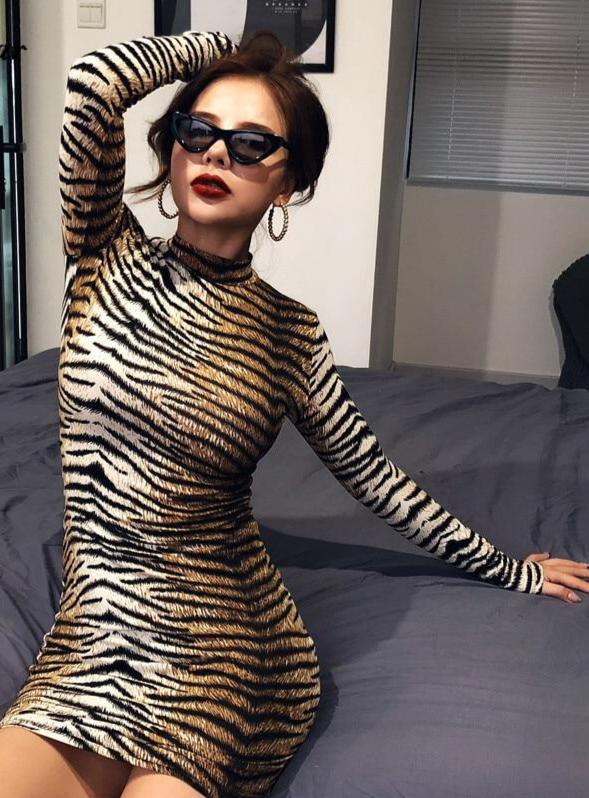 Catirini- Long Sleeve High Neck Leopard Dress
