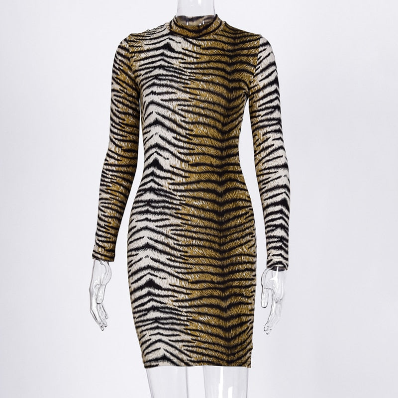 Catirini- Long Sleeve High Neck Leopard Dress