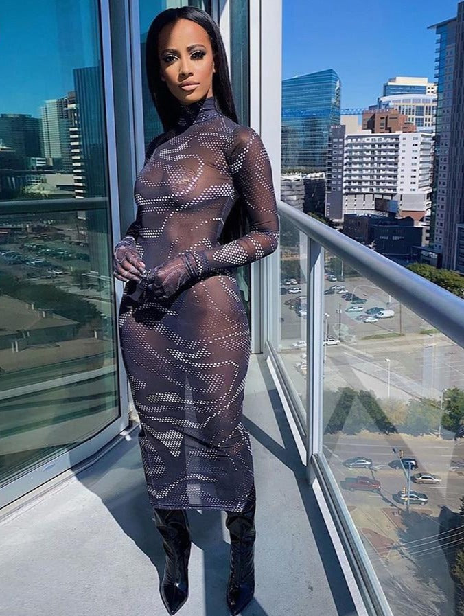 Sheer Memories - Long Sleeve Mesh Maxi Dress w/ Gloves